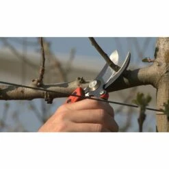 Sécateur Professionnel à Poignée Fixe Bahco PX-M3 -Outil de taillage Soldes 15092573 2