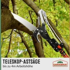 Outil de taillage Soldes -Outil de taillage Soldes 18476432 2