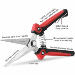 DEVENIRRICHE Sécateur à Main De Jardinage Avec Lames Droites En Acier Inoxydable, Ciseaux De Jardin Ultra Tranchants Pour Fleurs, Taille Des Plantes -Outil de taillage Soldes 23778086 5