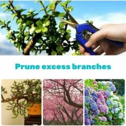LANGRAY Sécateur à Main De Jardinage Sécateur Avec Lames Courbes En Acier Inoxydable Bleu -Outil de taillage Soldes 25752718 5