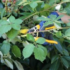 DEVENIRRICHE Sécateur De Jardin Lame Franche Z-19. Cisaille Universelle 200 Mm. Lame En Acier Forgé Recouverte En Titane. Poignées Ergonomiques. -Outil de taillage Soldes 28251871 3