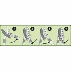 HELIOTRADE Coupe Branche à Crémaillère Manche Télescopique à Enclume 98 Cm -Outil de taillage Soldes 28905017 4