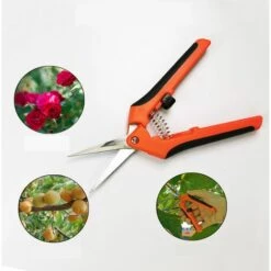 Perle Rare Sécateur De Jardinage Manuel Professionnel En Acier Inoxydable G85 Orange Noir Ciseaux De Jardinage Droit Emballage De Carte (orange) -Outil de taillage Soldes 29869157 3