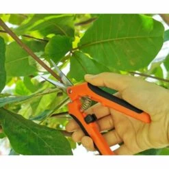 Perle Rare Sécateur De Jardinage Manuel Professionnel En Acier Inoxydable G85 Orange Noir Ciseaux De Jardinage Droit Emballage De Carte (orange) -Outil de taillage Soldes 29869157 4