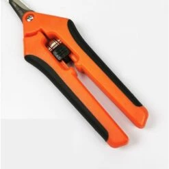 Perle Rare Sécateur De Jardinage Manuel Professionnel En Acier Inoxydable G85 Orange Noir Ciseaux De Jardinage Droit Emballage De Carte (orange) -Outil de taillage Soldes 29869157 5