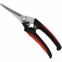 Perle Rare Sécateur De Jardinage En Acier Inoxydable Cisailles Pour Arbres Fruitiers De Jardin Verger Branches D'élagage Cisailles à Branches épaisses Ciseaux De Jardin Outils