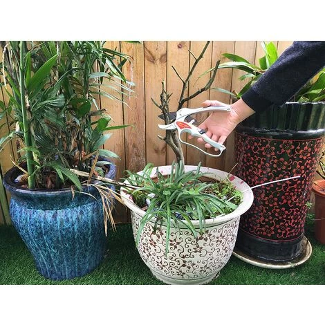 ABCRITAL Sécateur De Jardinage À Crémaillère Pour Couper Les Branches Ciseaux À Cliquet De Jardin À La Main Avec Verro De Sécurité Et Anti Glissement Poignees 4 ABCRITAL Sécateur De Jardinage À Crémaillère Pour Couper Les Branches Ciseaux À Cliquet De Jardin À La Main Avec Verro De Sécurité Et Anti Glissement Poignees – Image 2