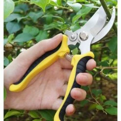 ILoveMilan Cisailles De Jardinage Cisailles Multifonctionnelles -Outil de taillage Soldes 30067699 3