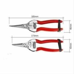 THSINDE Sécateur à Fleurs Bonsai Plantes, épinette De Jardin Inoxydable . Ciseaux Pour Fleuriste Et Jardinage Colibri(Grand + Petit)
