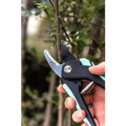 Lot De 2 Sécateurs : Lame Franche, Lame Enclume - Suan -Outil de taillage Soldes 33560409 4