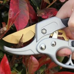 FISHTEC Sécateur à Crémaillère 20 CM - Lame En Titanium - Corps En Aluminium -Outil de taillage Soldes 33819601 5