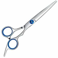 BRIDAY Ciseaux à Cheveux, Ciseaux De Coiffure Pointus, Ciseaux De Coupe De Cheveux, Coupe Nette Et Précise En Acier Inoxydable, Coupe De Cheveux Parfaite Pour Les Femmes Et Les Hommes