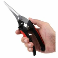 Kueatily Perle Rare Sécateur De Jardinage En Acier Inoxydable Cisailles Pour Arbres Fruitiers De Jardin Verger Branches D'élagage Cisailles à Branches épaisses Ciseaux De Jardin Outils -Outil de taillage Soldes 35648695 3