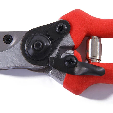 COOFIX Sécateurs De Jardin Sécateurs D'élagage Sécateurs De Branches D'arbres Sécateurs De Fruits Sécateurs De Cueillette De Fruits 7 COOFIX Sécateurs De Jardin Sécateurs D'élagage Sécateurs De Branches D'arbres Sécateurs De Fruits Sécateurs De Cueillette De Fruits – Image 5