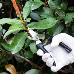 COOFIX Sécateur De Jardin Jardin à La Maison Verger Poignées Antidérapantes Branches épaisses économes En Main-d'œuvre -Outil de taillage Soldes 35909864 2