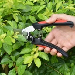 TANABATA Coupe-branches Jardin Sécateurs Ciseaux De Jardinage à Main En Acier Inoxydable Pour Plantes, Arbres Fruitiers, Fleurs, Branches, élagage -Outil de taillage Soldes 43104688 3