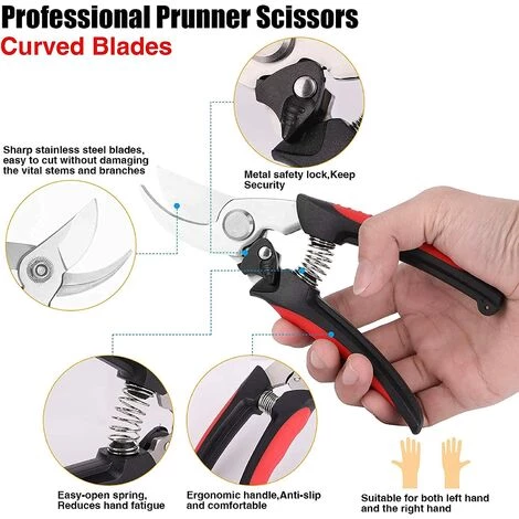 LONGZIMING Sécateur 3 Pièces De Sécateur Tranchant En Acier Inoxydable Outils à Main Pour Couper Les Fleurs Fleurs Coupées Plantes Bonsaï Fruits 4 LONGZIMING Sécateur 3 Pièces De Sécateur Tranchant En Acier Inoxydable Outils à Main Pour Couper Les Fleurs Fleurs Coupées Plantes Bonsaï Fruits – Image 2