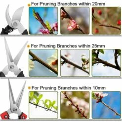 LONGZIMING Sécateur 3 Pièces De Sécateur Tranchant En Acier Inoxydable Outils à Main Pour Couper Les Fleurs Fleurs Coupées Plantes Bonsaï Fruits 10 LONGZIMING Sécateur 3 Pièces De Sécateur Tranchant En Acier Inoxydable Outils à Main Pour Couper Les Fleurs Fleurs Coupées Plantes Bonsaï Fruits -Outil de taillage Soldes 44401441 4