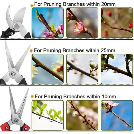 LONGZIMING Sécateur 3 Pièces De Sécateur Tranchant En Acier Inoxydable Outils à Main Pour Couper Les Fleurs Fleurs Coupées Plantes Bonsaï Fruits 6 LONGZIMING Sécateur 3 Pièces De Sécateur Tranchant En Acier Inoxydable Outils à Main Pour Couper Les Fleurs Fleurs Coupées Plantes Bonsaï Fruits – Image 4