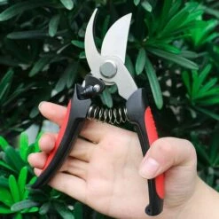 LONGZIMING Sécateur 3 Pièces De Sécateur Tranchant En Acier Inoxydable Outils à Main Pour Couper Les Fleurs Fleurs Coupées Plantes Bonsaï Fruits 11 LONGZIMING Sécateur 3 Pièces De Sécateur Tranchant En Acier Inoxydable Outils à Main Pour Couper Les Fleurs Fleurs Coupées Plantes Bonsaï Fruits -Outil de taillage Soldes 44401441 5