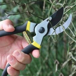 GUAZHUNIFR Ressorts De Sécateur De Volute, Ressort De Volute De Rechange, Pièces De Ressort De Sécateur De Jardin En Acier Inoxydable, Accessoires D'outils De Jardinage De Ressorts De Rechange, Guazhuni 5 Pièces 11 GUAZHUNIFR Ressorts De Sécateur De Volute, Ressort De Volute De Rechange, Pièces De Ressort De Sécateur De Jardin En Acier Inoxydable, Accessoires D'outils De Jardinage De Ressorts De Rechange, Guazhuni 5 Pièces -Outil de taillage Soldes 44636348 5