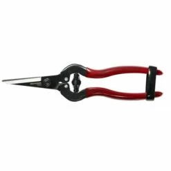 BERGER 200 Mm De Raisin