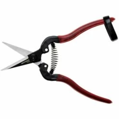 BERGER 200 Mm De Raisin -Outil de taillage Soldes 45574826 3