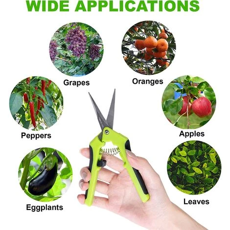 Sécateur De Jardinage à Main Pour Bonsaï, Ciseaux De Jardin De Haute Précision Avec Lame Incurvée Et Inoxydable (1pcs) GrooFoo 7 Sécateur De Jardinage à Main Pour Bonsaï, Ciseaux De Jardin De Haute Précision Avec Lame Incurvée Et Inoxydable (1pcs) GrooFoo – Image 5