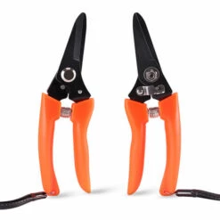 Poulie Économie De Main-d'œuvre Cisailles D'élagage D'arbres Fruitiers Branche De Fruits Coupée Ciseaux Floraux De JardinOrange,HANBING