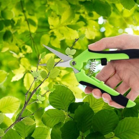 LONGZIMING Sécateur De Jardin, Professionnel Ciseaux De Jardinage, Pointe Haute Secateur Précision, Sécateur Lame Droite Inoxydable, Main Pour Bonsaï, Poignées à Ressort 4 LONGZIMING Sécateur De Jardin, Professionnel Ciseaux De Jardinage, Pointe Haute Secateur Précision, Sécateur Lame Droite Inoxydable, Main Pour Bonsaï, Poignées à Ressort – Image 2