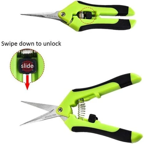 LONGZIMING Sécateur De Jardin, Professionnel Ciseaux De Jardinage, Pointe Haute Secateur Précision, Sécateur Lame Droite Inoxydable, Main Pour Bonsaï, Poignées à Ressort 6 LONGZIMING Sécateur De Jardin, Professionnel Ciseaux De Jardinage, Pointe Haute Secateur Précision, Sécateur Lame Droite Inoxydable, Main Pour Bonsaï, Poignées à Ressort – Image 4