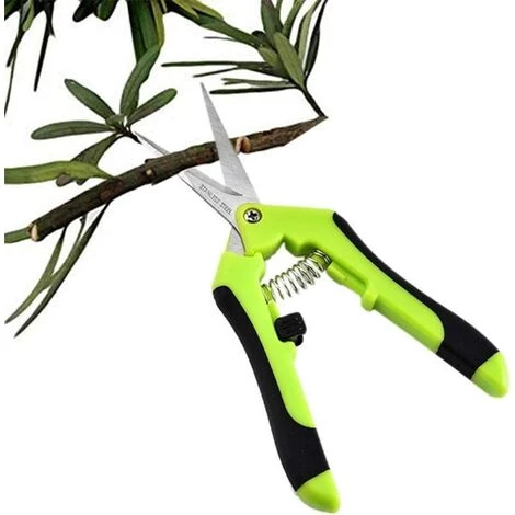 LONGZIMING Sécateur De Jardin, Professionnel Ciseaux De Jardinage, Pointe Haute Secateur Précision, Sécateur Lame Droite Inoxydable, Main Pour Bonsaï, Poignées à Ressort 7 LONGZIMING Sécateur De Jardin, Professionnel Ciseaux De Jardinage, Pointe Haute Secateur Précision, Sécateur Lame Droite Inoxydable, Main Pour Bonsaï, Poignées à Ressort – Image 5