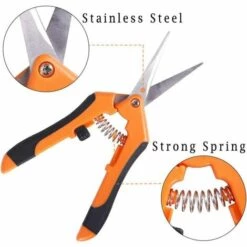 LONGZIMING Sécateur De Jardin, Professionnel Ciseaux De Jardinage, Pointe Haute Secateur Précision, Sécateur Lame Droite Inoxydable, Main Pour Bonsaï, Poignées à Ressort -Outil de taillage Soldes 48157257 2