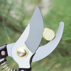 READCLY Sécateur De Jardin, Secateur Force Cisaille Jardinage En Acier Inoxydable Sharp, Mécanisme De Verrouillage Et Poignée Antidérapante Pour Tiges De Branches, Fleurs, Haies, Fruits (Noir) 9 READCLY Sécateur De Jardin, Secateur Force Cisaille Jardinage En Acier Inoxydable Sharp, Mécanisme De Verrouillage Et Poignée Antidérapante Pour Tiges De Branches, Fleurs, Haies, Fruits (Noir) -Outil de taillage Soldes 48335085 3