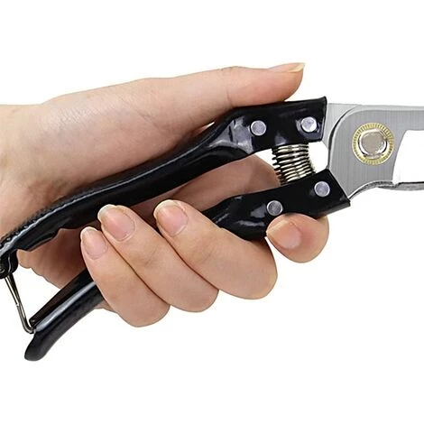 READCLY Sécateur De Jardin, Secateur Force Cisaille Jardinage En Acier Inoxydable Sharp, Mécanisme De Verrouillage Et Poignée Antidérapante Pour Tiges De Branches, Fleurs, Haies, Fruits (Noir) 6 READCLY Sécateur De Jardin, Secateur Force Cisaille Jardinage En Acier Inoxydable Sharp, Mécanisme De Verrouillage Et Poignée Antidérapante Pour Tiges De Branches, Fleurs, Haies, Fruits (Noir) – Image 4