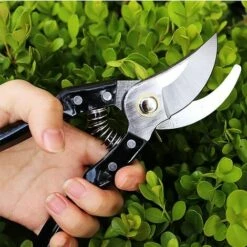 READCLY Sécateur De Jardin, Secateur Force Cisaille Jardinage En Acier Inoxydable Sharp, Mécanisme De Verrouillage Et Poignée Antidérapante Pour Tiges De Branches, Fleurs, Haies, Fruits (Noir) 11 READCLY Sécateur De Jardin, Secateur Force Cisaille Jardinage En Acier Inoxydable Sharp, Mécanisme De Verrouillage Et Poignée Antidérapante Pour Tiges De Branches, Fleurs, Haies, Fruits (Noir) -Outil de taillage Soldes 48335085 5