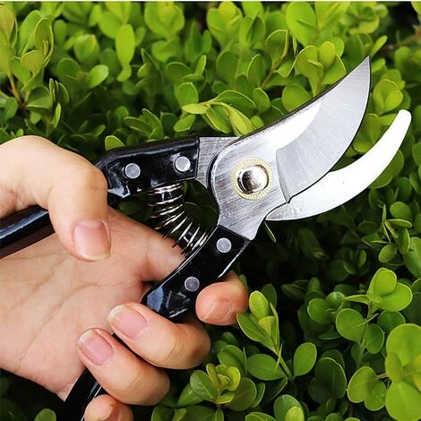 READCLY Sécateur De Jardin, Secateur Force Cisaille Jardinage En Acier Inoxydable Sharp, Mécanisme De Verrouillage Et Poignée Antidérapante Pour Tiges De Branches, Fleurs, Haies, Fruits (Noir) 7 READCLY Sécateur De Jardin, Secateur Force Cisaille Jardinage En Acier Inoxydable Sharp, Mécanisme De Verrouillage Et Poignée Antidérapante Pour Tiges De Branches, Fleurs, Haies, Fruits (Noir) – Image 5