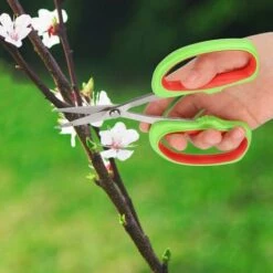 READCLY Sécateur, Sécateur De Raisin En Acier Inoxydable Ciseaux De Coupe De Branche D'arbre Fruitier Bonsaï Outils De Jardin Pour Usage Domestique Bureau D'usine -Outil de taillage Soldes 48335152 3