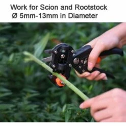 FONTAINEBLEAU Ciseaux De Greffage Professionnels, Parfaits Pour Le Jardinage, L’élagage Et Le Greffage D’Arbres Fruitiers Et De Plantes -Outil de taillage Soldes 49196919 4