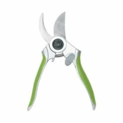 RIBIMEX Sécateur Acier Inox Lames Courbes 175 Mm Vert