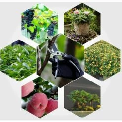LITZEE Cecateur Jardin Sécateur De Jardin Sécateur à Lames Franches Sécateur Jardin Cisaille De Jardin En Titane De Qualité Supérieure Arbres Tondeuse Avec Poignées En éponge Et Protecteur De Sécurité -Outil de taillage Soldes 51552671 5