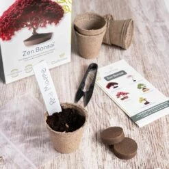 Fei Yu – Lot De 3 Ciseaux Pour Bonsai – Outil Bonsai En Acier - Jardinez - Cisailles à Bonsaï Pour Entretien De Vos Bonsais Et Plantes - Taillage Et élagage Bonsai -Outil de taillage Soldes 51783321 5