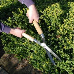 ESSCHERTDESIGN Taille Haie. Naturel. Marque : Esschert Design. Réf. : GT23 - Naturel 8 ESSCHERTDESIGN Taille Haie. Naturel. Marque : Esschert Design. Réf. : GT23 - Naturel -Outil de taillage Soldes 52046775 3