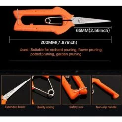 Fei Yu Sécateur Professionnel à Lames Droites En Acier Inoxydable Pour Arrangement De Fleurs, Coupe De Plantes, Récolte De Fruits (lame De 65 Mm) -Outil de taillage Soldes 52581289 3