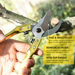 LIFCAUSAL Outil De Cisaillement, Cisailles De Jardinage, Sécateur à Lame En Acier Avec Poignées Ergonomiques Kit De Ciseaux à Main Pour Outils De Jardinage Professionnels, Or -Outil de taillage Soldes 52587682 4