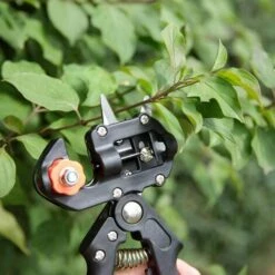 Ciseaux à Greffer 3 Lames Outil Greffoir à Cliquet Professionnel Greffage Pour élagage Efficace Pour Arbres Fruitiers/plantes/branches, Cisaille De Finition Betterlife -Outil de taillage Soldes 52797543 5