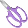 SUPERMARKET Sécateur à Jardin/Ciseaux De Greffage En Acier De Haute Qualité, Jardinage Professionnel, Parfait Pour Ranger Les Plantes Et Le Jardin - Violet，Superma -Outil de taillage Soldes 53069494 1