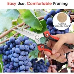 MONLY Sécateurs, Sécateurs Manuels De Jardinage En Acier Inoxydable Pour La Cueillette Des Fruits, La Taille Des Plantes Et Des Fleurs -Outil de taillage Soldes 53935004 2