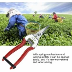 DECKON Sécateur Acier Inoxydable Jardin Professionnel Manuel Sécateur Lame Droite Chromé Composition Florale élagage Et Récolte Des Plantes Guadjuni (poignée En Fer Gros Sécateur De Fruits) -Outil de taillage Soldes 54043040 3