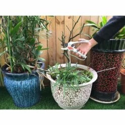 HKLFFJA Sécateur De Jardin à Crémaillère Coupe Branches Avec Sélecteur Cliquet Pour Coupe Fluide Ou à étapes